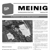 2013 Sp Meinig